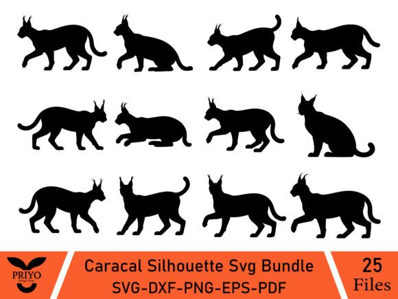 Caracal Silhouette Svg Bundle